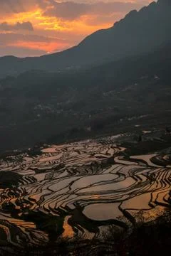 Terraced Rice Fields Scenery in Spring Water Season in South China at Sunset Stock Photos