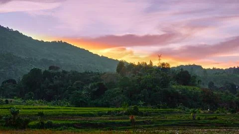 Terraced Rice Fields Surrounded by Tropical Forest and Hills in Rural Stock Photos