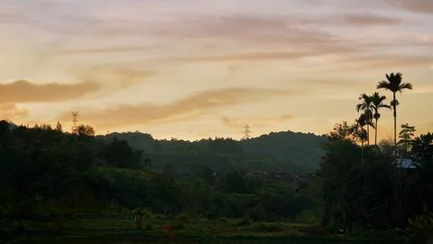 Terraced Rice Fields Surrounded by Tropical Forest and Hills in Rural Stock Photos