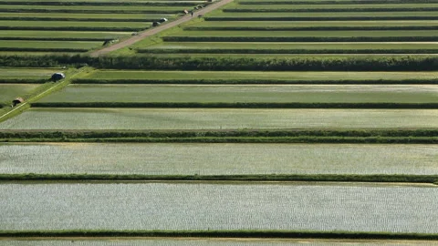 Terraced Rice Fields of Tanoguchi Stock-Footage 330195151