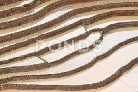 Terraced rice fields in Vietnam Stock Photos