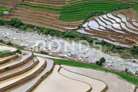 Terraced rice fields in Vietnam Stock Photos