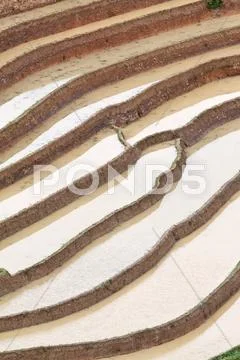 Terraced rice fields in Vietnam Stock Photos