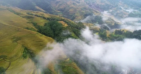 Terraced rice paddy Stock Footage 98571677