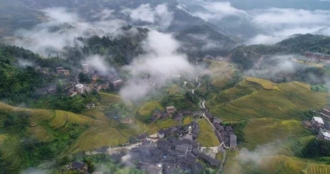 Terraced rice paddy Stock Footage 98573850