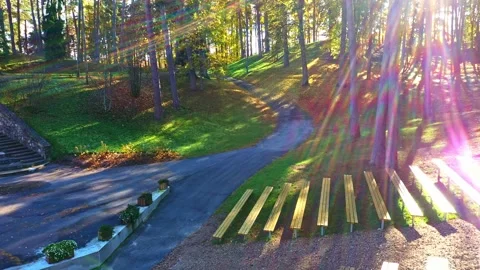 Terraced seating and winding path through a forest during fall, sunlight 스톡 동영상 334091519