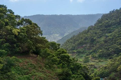 Terraced valley and laurel forest ridgelines in Madeira Laurisilva Foto stock