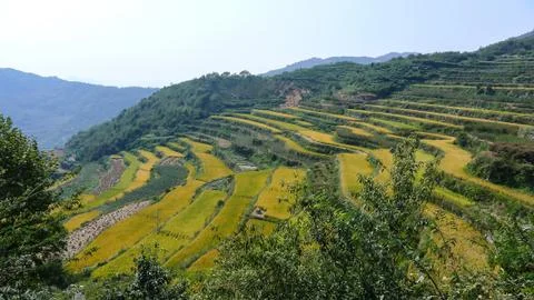 Terraces cascade down the steep slopes to the valleys below Stock-Fotos