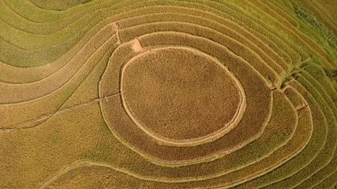 Terraces fields Stock Footage 103608774