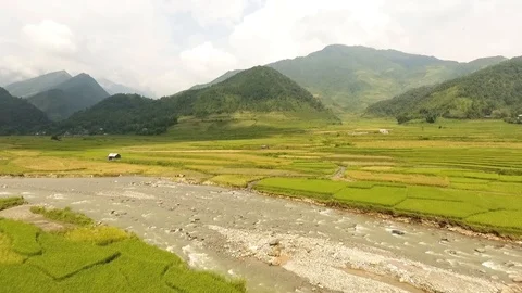 Terraces fields Stock Footage 103608788