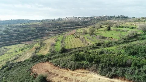 Terraces Stock Footage 111495471