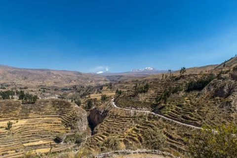 Terraces Stock Photos