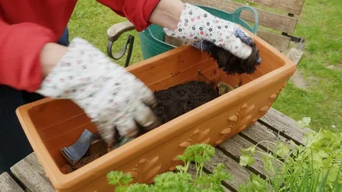 Terracotta container being filled with soil Stock Footage 88744673