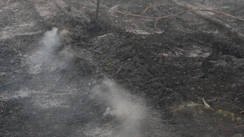 Terrain ashes and smoke Stock Footage 124540890