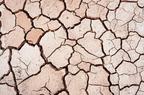Terrain texture Stock Photos