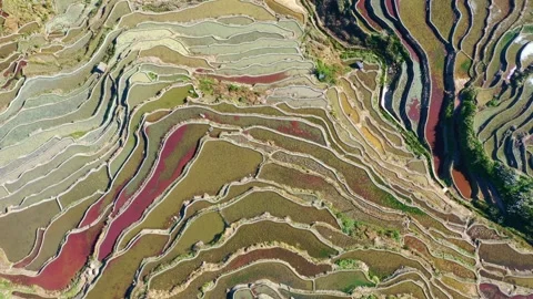 Terrance top down view Stock Footage 282067597