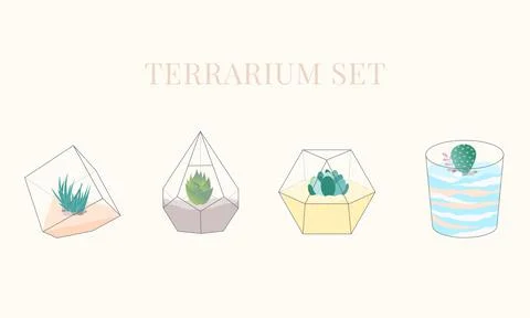Terrarium Set Flat Vector Simple Minimalist Illustration Stock Illustration