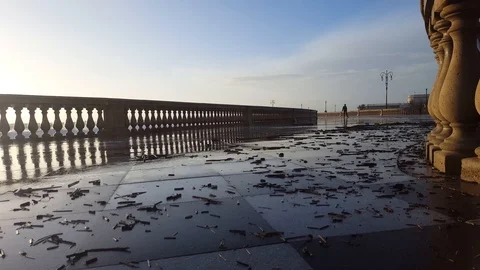 Terrazza mascagni wet 動画素材 87146865