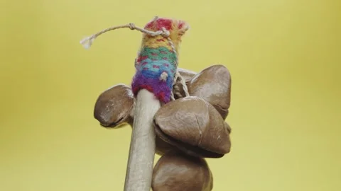 Terre seed shaker Stock Footage 130587275