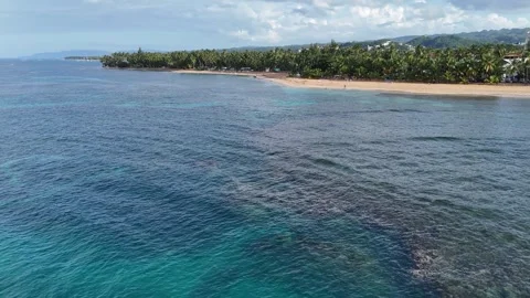 Terrenas Whales beach 스톡 동영상 330428329