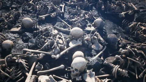 Terrible old skulls and bones on the field of the past battle. The concept of Stock Footage 132533132