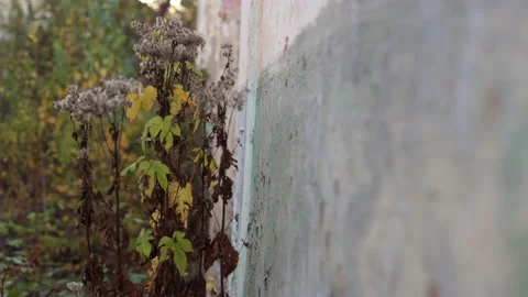 Terrible premises and ruins, a consequence of the war in Ukraine Stock Footage 219330201