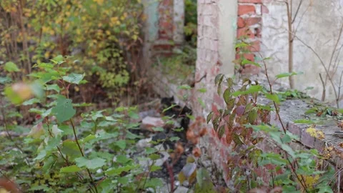 Terrible premises and ruins, a consequence of the war in Ukraine Stock Footage 219330262