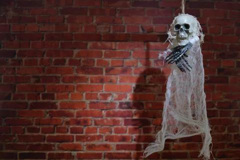 Terrible skeleton on the gallows. Stock Photos