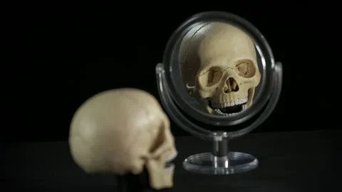 Terribly good looking. Video stock 148481743