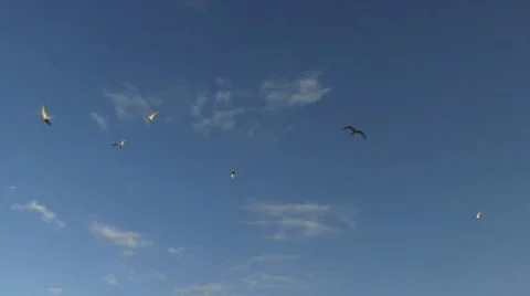 Terrick Stock Footage 18189358