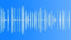 Terrier Barking Growling ExteriorSound Effect