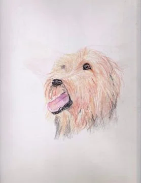 Terrier Stock Illustration