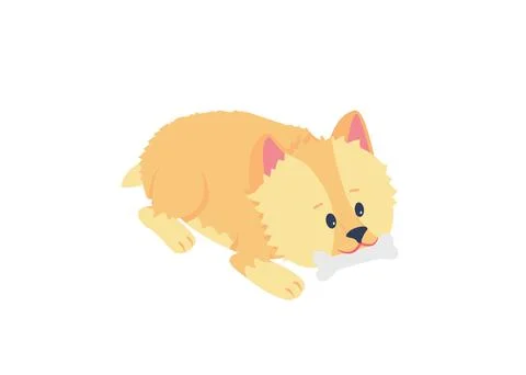 Terrier puppy chewing bone flat color vector detailed character Stock Illustration
