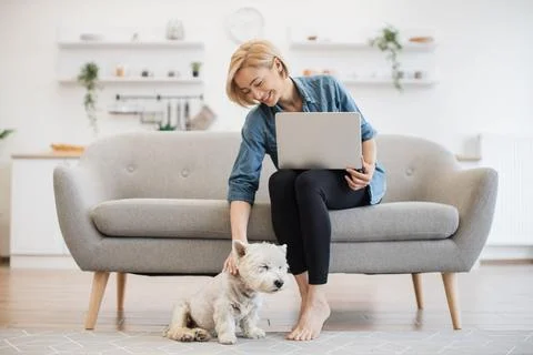 Terrier staying close to female with computer in kitchen Stock Photos
