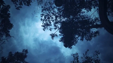 Terrifying dark sky at dusk. Stock Footage 81372763