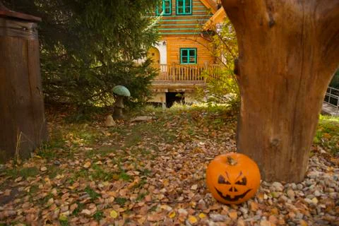 A terrifying Halloween pumpkin built under a tree Foto stock