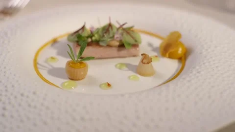 Terrine Slice with Microgreens and Glazed Shallots, Textured White Plate, Macro Stock Footage 341343953