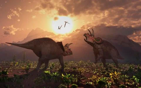 Territorial confrontation between two male Triceratops. Stock Illustration
