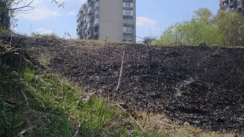 The Territory After the Fire that Intentionally Burned in the City. 4k. 60fps Stock Footage 106404015