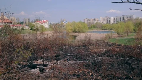 The Territory After the Fire that Intentionally Burned in the City. 4k. 60fps Stockbeeldmateriaal 106404076