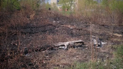 The Territory After the Fire that Intentionally Burned in the City. 4k. 60fps Stockbeeldmateriaal 106435643
