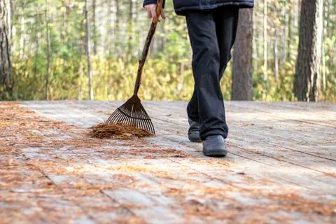 Territory cleaning. Stock Photos