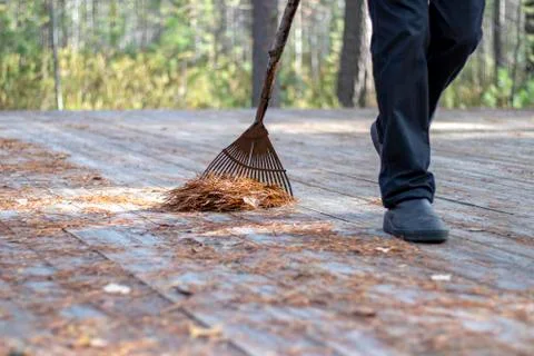 Territory cleaning. Stock Photos