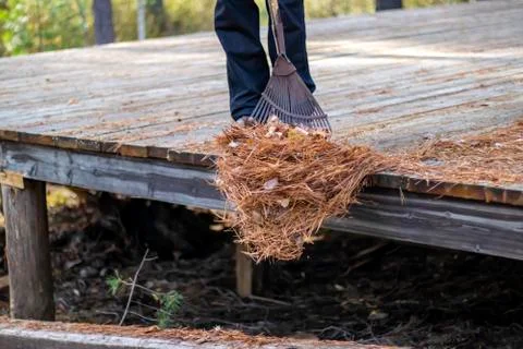 Territory cleaning. Stock Photos