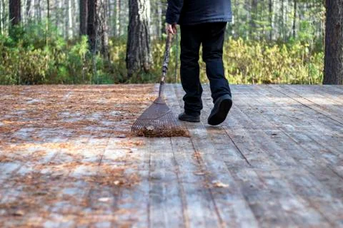 Territory cleaning. Stock Photos