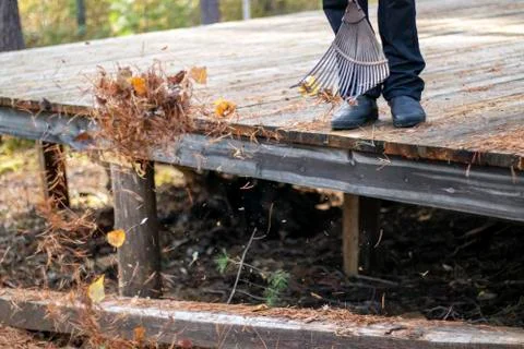 Territory cleaning. Stock Photos