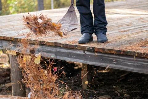 Territory cleaning. Stock Photos