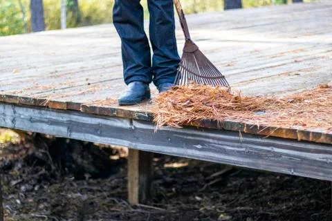 Territory cleaning. Stock Photos