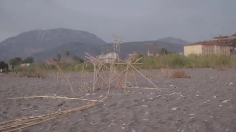 The territory of nesting turtles and their egg clutches. Sandy beach at sunset. Stock Footage 303693059