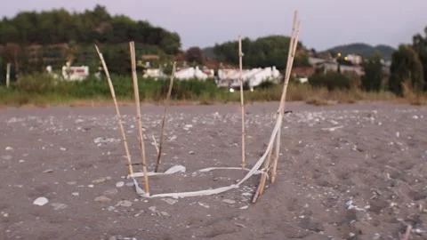 The territory of nesting turtles and their egg clutches. Sandy beach at sunset. Stock Footage 303693188